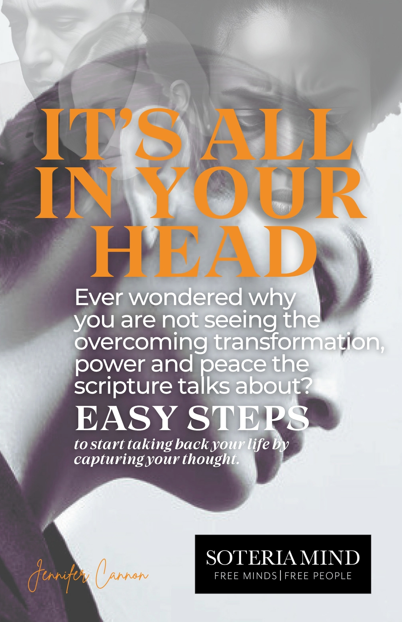 ItsAllInYourHeadCOVER